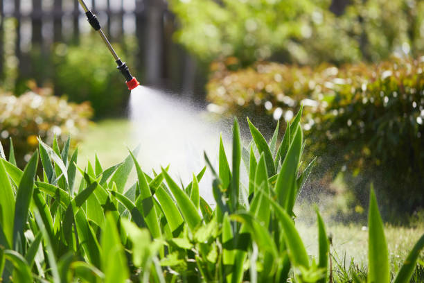 24/7 Emergency Termite Control experts in Sherwood, AR