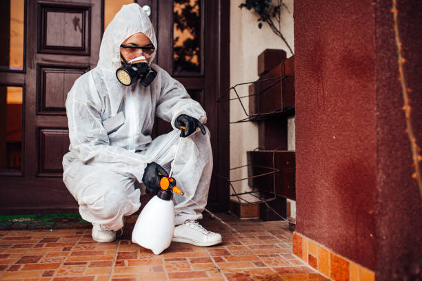 Reliable Termite Control contractor in Sherwood, AR by Nex Pest Control